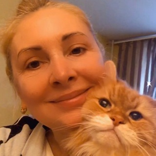 Логотип @velen1204_2 - Velen1204 Chat КОТОМАФИЯ