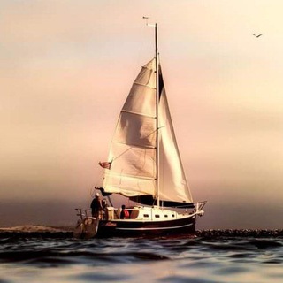 Логотип @velerosocasion - Veleros de ocasión España