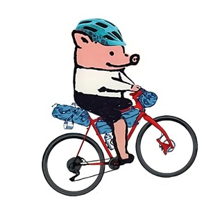 Логотип @velocheb - Велосипедисты Чувашии🚲
