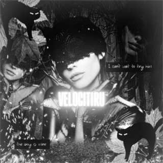 Логотип @velocitiru - Velocitiru АЕ 🍁