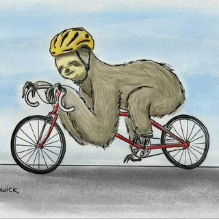 Логотип @velodro4 - Шляпа Сумкоты