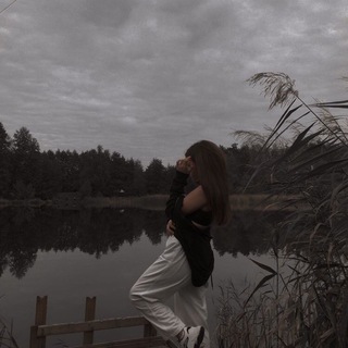 Логотип @velverrr - wellvver | темы и языки