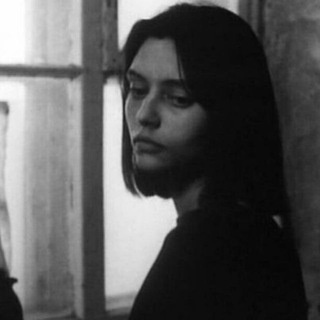 Логотип @vendydoft - Vendy x Soft