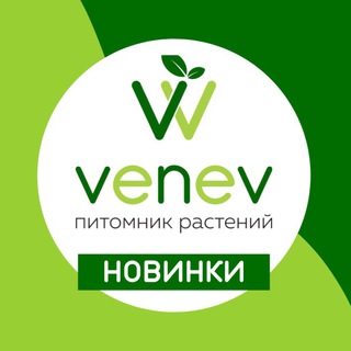 Логотип @venevnew - ВЕНЕВ Новинки