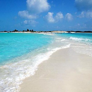 Логотип @venezuelarus - Венесуэла 🇻🇪🌴