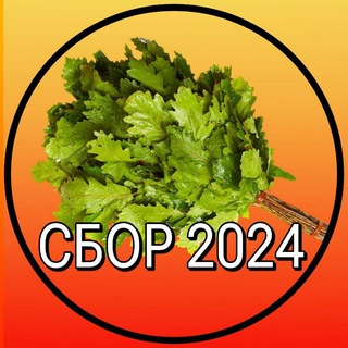 Логотип @venikidub - Веники для бани🌿 Казань 🌿 Банные веники