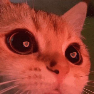 Логотип @ventisawho - вентиса ху?