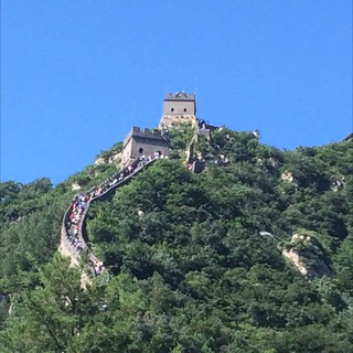 Логотип @venusdom1 - Саморазвитие | Разум и Чувства