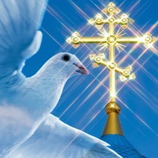 Логотип @vera77_channel - vera77