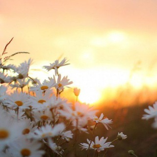 Логотип @vera_pravoslavna - Верую ☦️ Православие