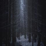 Логотип @verast76 - ·˚ ༘₊· ͟͟͞͞꒰➳𐌡ᥱᥴнᥲя ᴦ᧘уɯь.彡ೄྀ