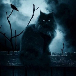 Логотип @vereskstrashnyhistory - ВЕРЕСК. Страшные истории.