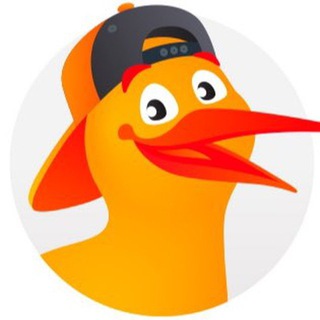 Логотип @verification_kiwi - Идентификация/Верификация