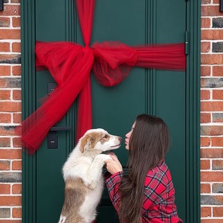 Логотип @verity_home - Verity_home