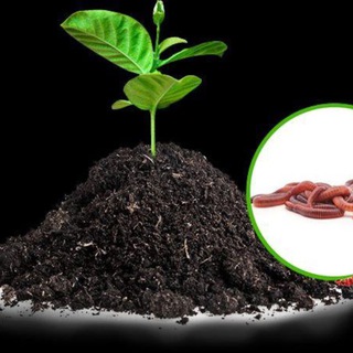 Логотип @vermilife_ru - СЕКРЕТ🪴ФЕРМЫ🪱 КФХ VERMILIFE