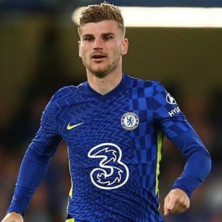 Логотип @vernertimo - Пас на Вернера