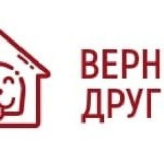 Логотип @vernyydrugonbibsk - Верный друг 🐕