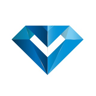 Логотип @veron_official - VERON Official English