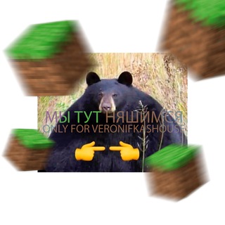 Логотип @veronifkashousechat - ВЕРОНИФКАС ЧАТ