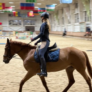 Логотип @veronikatvt - Nika_Equestrian