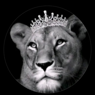 Логотип @versaace_787 - 𝒟𝒾𝑜𝓇..♰