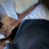 Логотип @vertovchat - Вертов общается…