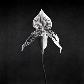 Логотип @verybadart - Запрещенное искусство