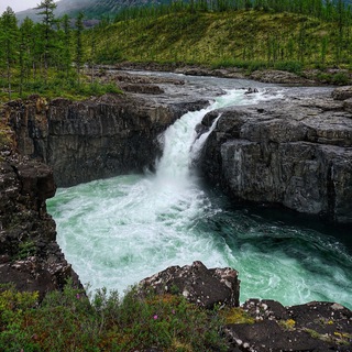 Логотип @ves_egoniya - Весь Егония