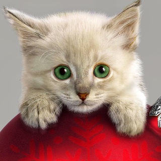 Логотип @veselye_koteiki - Весёлые Котейки