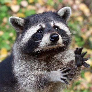 Логотип @vestnik_a - Вестник Апокалипсиса