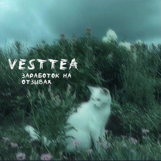 Логотип @vesttea - vᴇsᴛᴛᴇᴀ|ɜᴀᴩᴀбᴏᴛᴏᴋ нᴀ голосах⚡