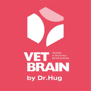 Логотип @vet_brain - Vet Brain