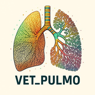 Логотип @vet_pulmo - Vet_pulmo