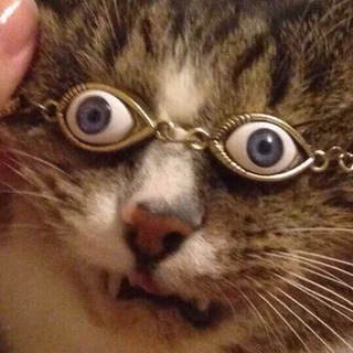 Логотип @vetbaraholka - Барахолка