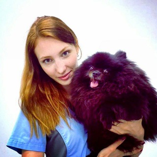 Логотип @vetdoc_maslova - Ветеринарный стоматолог Маслова Екатерина