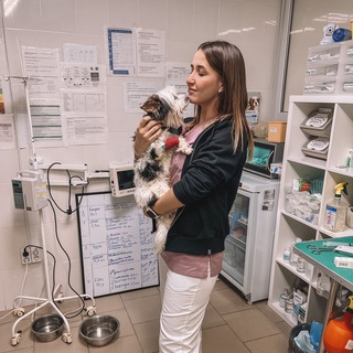 Логотип @vetdoctor_krd - Ветеринарный врач Ангелина (vetdoctor.krd)