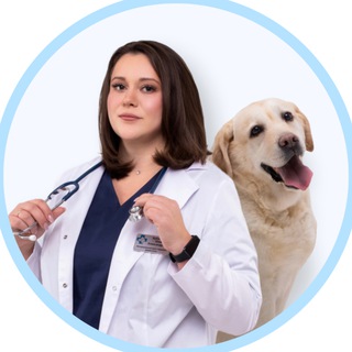 Логотип @veterinar812 - Ветеринар Бубликова Юлия