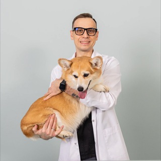 Логотип @veterinar_krishvalov - Ветеринарный врач Иван Кришвалов