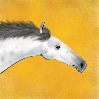 Логотип @vetervgrivah - Ветер в гривах 🐴