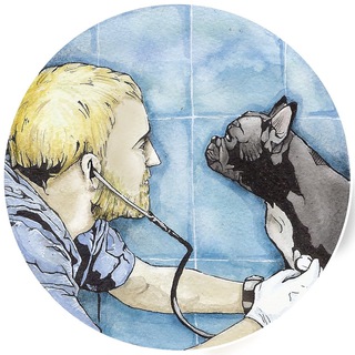 Логотип @vetnotes - Записки ветврача 📝