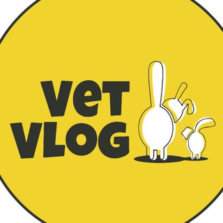 Логотип @vetvlogvet - VetVlog(ВетВлог) Ветеринарная ОНКОЛОГИЯ и не только👨🏻‍⚕️
