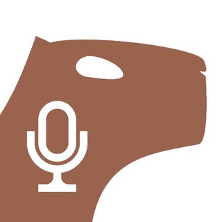 Логотип @vevs_info - vevs.info