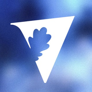 Логотип @vf_volgu2022 - ВФ ВолГУ