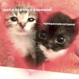 Логотип @vfdad - дал