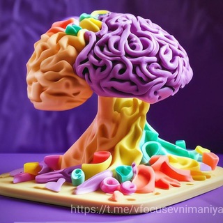 Логотип @vfocusevnimaniya - Фокус внимания