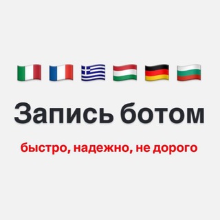 Логотип @vfsglobal_com - VFSGLOBAL - запись БОТОМ Франция
