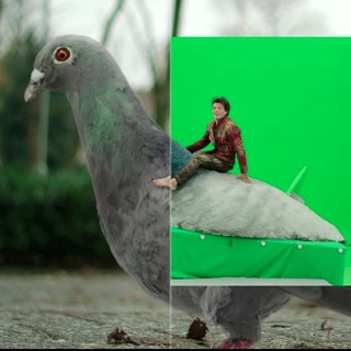 Логотип @vfxcomp - VFX Breakdowns