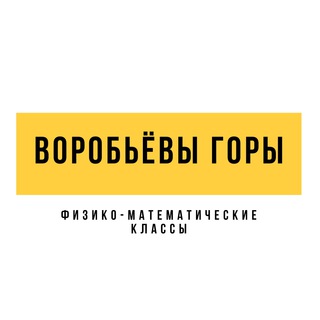 Логотип @vgfizmat - Приём 2026. Лицей «Воробьёвы горы». Физико-математические классы.