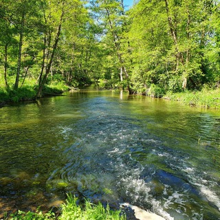 Логотип @vianaturaakademie - 💚 VIA NATURA AKADEMIE - Zentrum & Akademie für Bewusstsein l Ernährung l Gesundheit l Heilung 💚