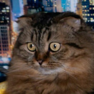 Логотип @viatka_aristocrat - 🌾 Вятская интернет-аристократія | ВИъА